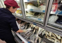 Kilogram može da se nađe do 500 dinara, a melem je za SRCE: UMJESTO PASTRMKE I ŠARANA, JEDNA RIBA JE “STO PUTA” ZDRAVIJA!