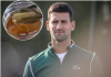 NOVAK ĐOKOVIĆ JEDE NAJSKUPLJI MED NA SVIJETU: Zbog ČUDOTVORNOG sastojka, samo 500 grama košta više od 270 MARAKA