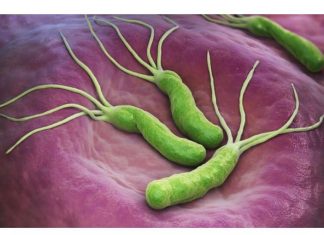 POVRĆKA KOJA UBIJA HELIKO BAKTERIJU, KISELINU I KARCINOM STOMAKA: Dovoljno je 70 grama dnevno!