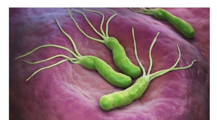 POVRĆKA KOJA UBIJA HELIKO BAKTERIJU, KISELINU I KARCINOM STOMAKA: Dovoljno je 70 grama dnevno!