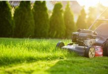 OVO JE BOLJE OD BILO KOJEG GNOJIVA: Ne bacajte pokošenu travu!