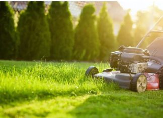 OVO JE BOLJE OD BILO KOJEG GNOJIVA: Ne bacajte pokošenu travu!