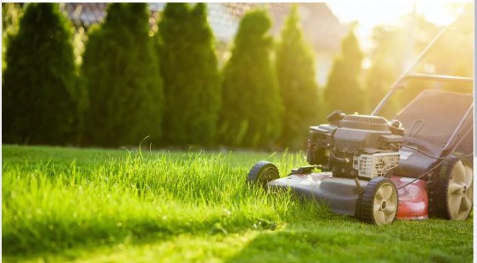 OVO JE BOLJE OD BILO KOJEG GNOJIVA: Ne bacajte pokošenu travu!