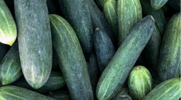 OVAJ TRIK DAJE ODLIČNE PRINOSE KRASTAVACA! Prelivanjem sa 10 ml ispod krastavca!