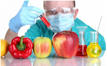 OBRATITE PAŽNJU: Evo kako da razlikujete ORGANSKI PARADAJZ OD GMO, jedan detalj JE KLJUČAN