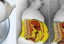 RECITE ZBOGOM ŠEĆERU: JEDNOSTAVAN PLAN ZA BRZO MRŠAVLJENJE