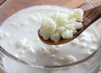 TIBETANSKA GLJIVA – OVAJ moćni KEFIR liječi, čisti i pomlađuje cijeli organizam!