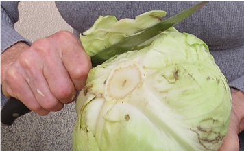 U ŠVICARSKIM BOLNICAMA KORISTE JE KAO LIJEK: Šta sve može obloga od jednog lista kupusa…