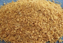 Čiste crijeva kao METLOM: Podržavaju živčani sustav i pomažu u skidanju sala s trbuha!