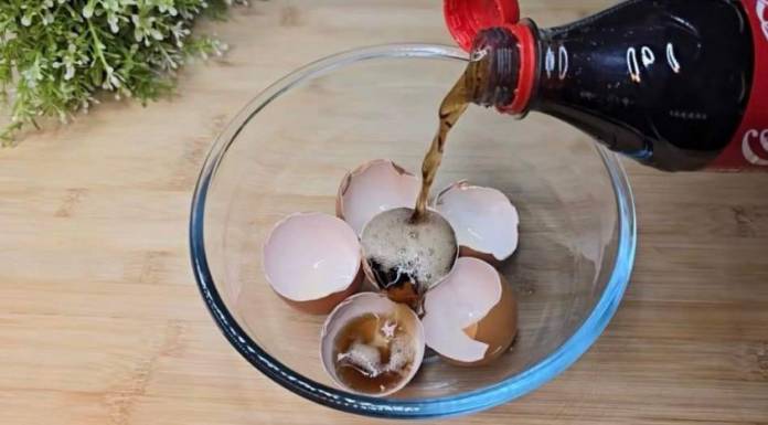 Uzmite ljuske od jaja, običnu KOLU i sačuvajte ovaj domaći trik: Koristim ga godinama i preporučujem svima