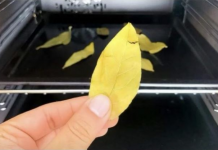 Stavite običan list LOVORA u rernu i uključite na 20 minuta: ZA OVO SVI TREBA DA ZNAJU