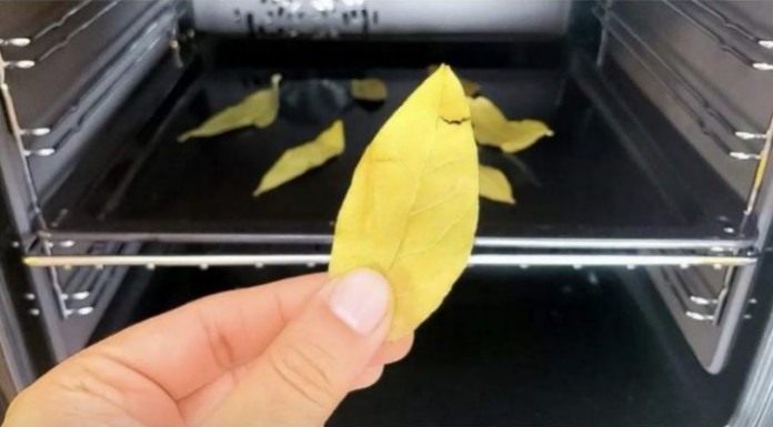 Stavite običan list LOVORA u rernu i uključite na 20 minuta: ZA OVO SVI TREBA DA ZNAJU