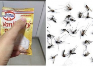 SAMO 1 PAKETIĆ VANILIN ŠEĆERA I NE TREBA VAM REPELENT: Savršen trik za omražene komarce, djeluje bolje od kemije!