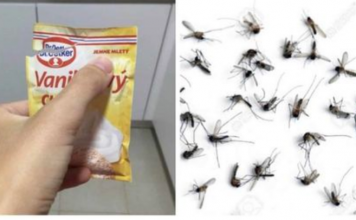 SAMO 1 PAKETIĆ VANILIN ŠEĆERA I NE TREBA VAM REPELENT: Savršen trik za omražene komarce, djeluje bolje od kemije!
