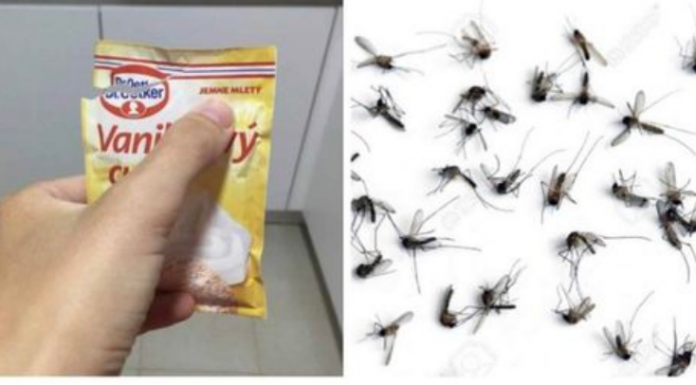 SAMO 1 PAKETIĆ VANILIN ŠEĆERA I NE TREBA VAM REPELENT: Savršen trik za omražene komarce, djeluje bolje od kemije!