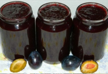 SVEKRVIN PEKMEZ OD ŠLJIVA – Recept za svaku pohvalu