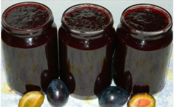 SVEKRVIN PEKMEZ OD ŠLJIVA – Recept za svaku pohvalu