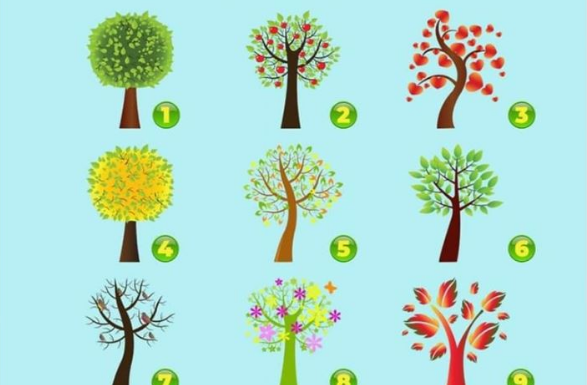 Ovo je SUROVI TEST koji će OTKRITI sve ono što KRIJEŠ – IZABERI DRVO SVOJIH SNOVA!