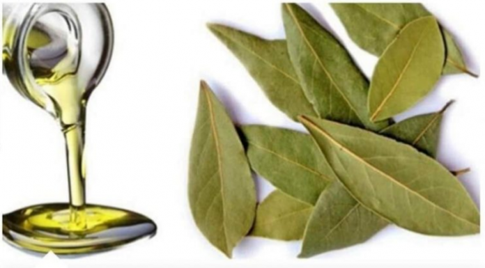 LOVOROVO ULJE KAO LIJEK: Izuzetno moćan lijek dobijete kada lovorov list preliete maslinovim uljem