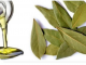 LOVOROVO ULJE KAO LIJEK: Izuzetno moćan lijek dobijete kada lovorov list preliete maslinovim uljem