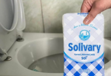 Razlog zašto treba sipati sol u WC školjku znaju samo iskusne domaćice: SADA ĆETE TO ČINITI REDOVITO!