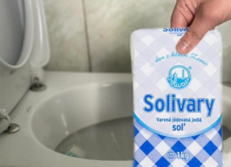 Razlog zašto treba sipati sol u WC školjku znaju samo iskusne domaćice: SADA ĆETE TO ČINITI REDOVITO!