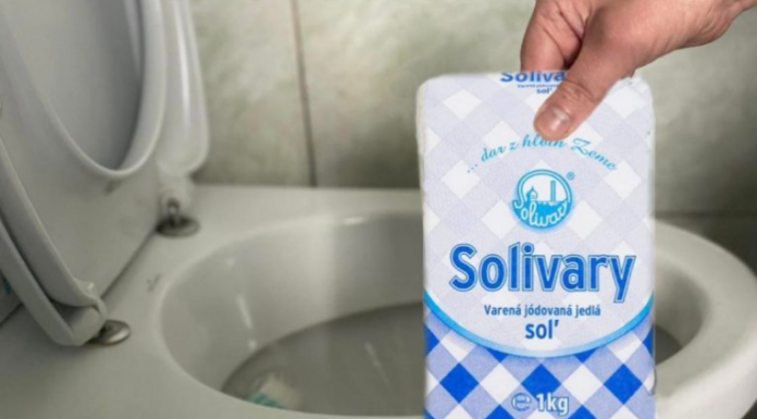 Razlog zašto treba sipati sol u WC školjku znaju samo iskusne domaćice: SADA ĆETE TO ČINITI REDOVITO!
