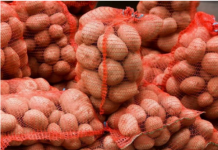 Deda je to uvijek bacao u kesu sa krompirom i izdržali su do sljedeće berbe: Ni jedan nije proklijao! (Foto)