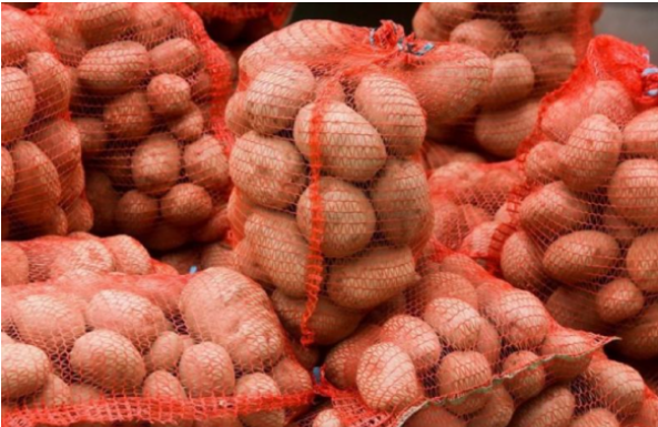 Deda je to uvijek bacao u kesu sa krompirom i izdržali su do sljedeće berbe: Ni jedan nije proklijao! (Foto)