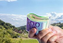 UZGOJ OVOG DRVETA DONOSI I DO 10.000 € PO HEKTARU: Prinos je ogroman, zarada zagarantovana, ali ima jedna začkoljica