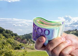 UZGOJ OVOG DRVETA DONOSI I DO 10.000 € PO HEKTARU: Prinos je ogroman, zarada zagarantovana, ali ima jedna začkoljica