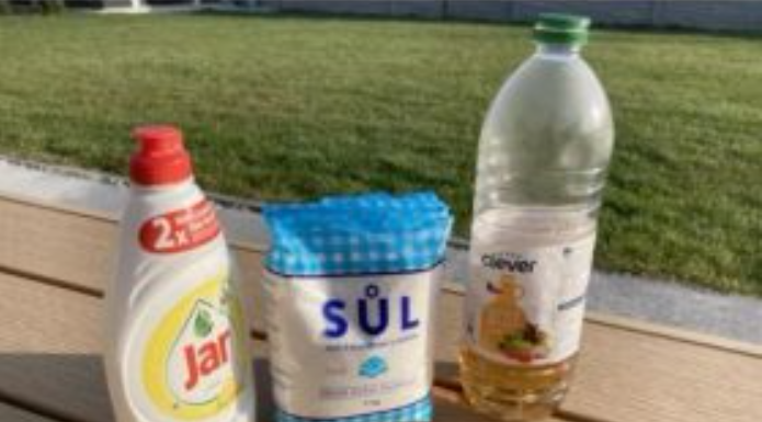 DOMAĆE SREDSTVO PROTIV KOROVA: Samo pomiješajte 3 jeftina sastojka i imate čisto cijelo dvorište bez posla (RECEPT)!