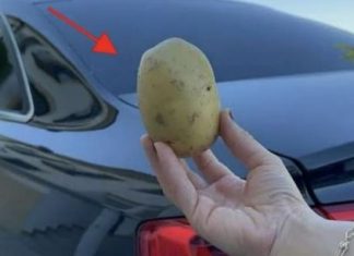 Imati 1 krompir u autu može vam spasiti život i niko vam to neće reći!