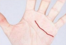 Samo POSEBNI ljudi imaju ovu liniju: Nećete vjerovati što ona znači!