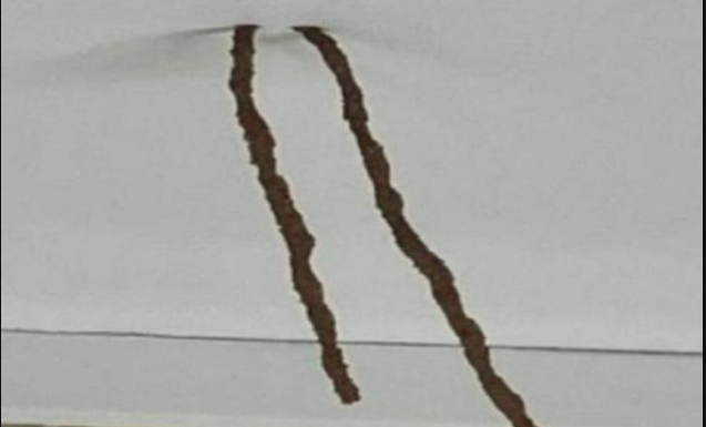 ŽENA PRONAŠLA DVIJE CIJEVI KOJE SU VISILE SA PLAFONA U KUPATILU: Kada je otkrila šta je to umalo se nije ONESVIJESTILA