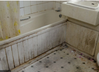 Moćnija od sirćeta i sode bikarbone: Ova namirnica nema šta ne čisti, a uništava kamenac i fleke