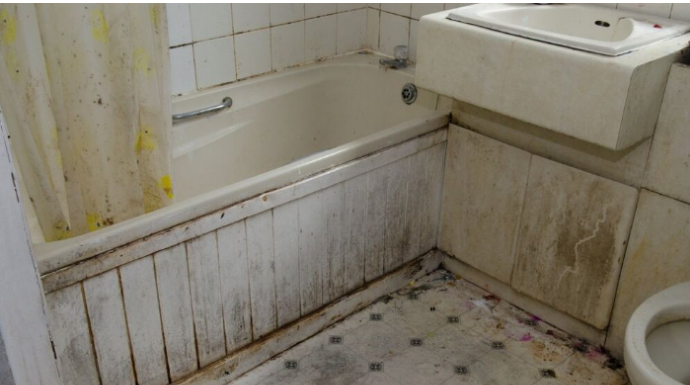 Moćnija od sirćeta i sode bikarbone: Ova namirnica nema šta ne čisti, a uništava kamenac i fleke