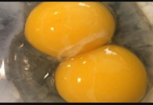 Znate li šta jedete? Ako ikada primijetite OVO na svojim jajima, odmah ih bacite!