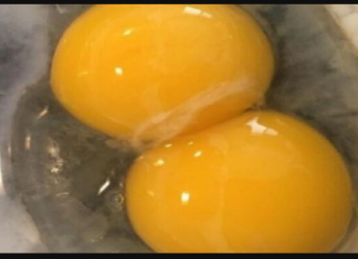 Znate li šta jedete? Ako ikada primijetite OVO na svojim jajima, odmah ih bacite!