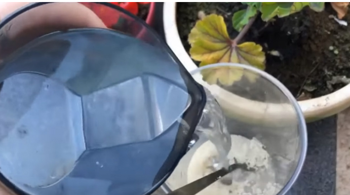 PARADAJZ, PAPRIKA, KRASTAVCI: Dajte im ovu Hranu ODMAH i proizvodit će kao divlje životinje!