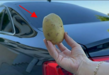 Imati 1 krompir u autu može vam “spasiti” život i NIKO VAM TO NEĆE REĆI!