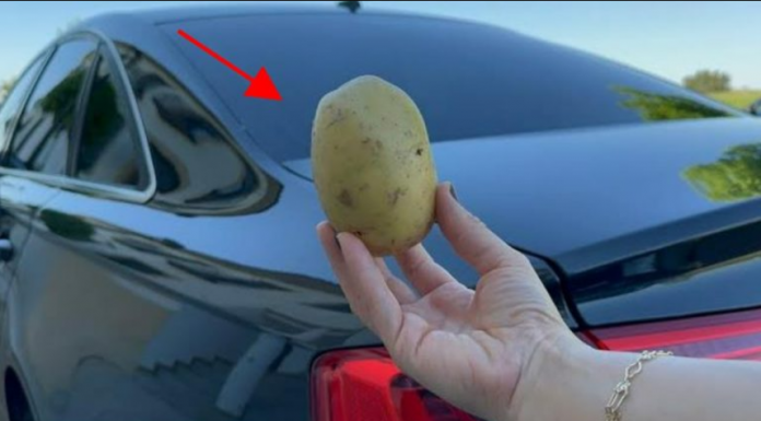 Imati 1 krompir u autu može vam “spasiti” život i NIKO VAM TO NEĆE REĆI!