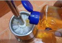 VIŠENAMJENSKO ČIŠĆENJE S JEFTINIM ŠAMPONOM: OD VUNE DO PROZORA