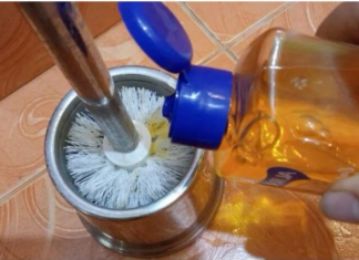 VIŠENAMJENSKO ČIŠĆENJE S JEFTINIM ŠAMPONOM: OD VUNE DO PROZORA