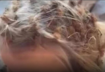 Djevojčica se igrala napolju, kada joj je majka vidjela frizuru vrisnula je! Malenoj ništa nije bilo jasno…