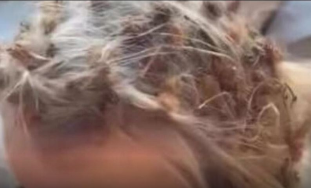 Djevojčica se igrala napolju, kada joj je majka vidjela frizuru vrisnula je! Malenoj ništa nije bilo jasno…