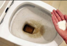 Zaboravite OCAT: Ovaj sastojak iz kuhinje čisti toalet u trenu – bez kamenca, žutih mrlja i mirisa!