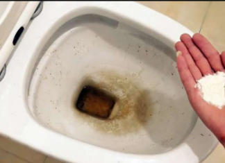 Zaboravite OCAT: Ovaj sastojak iz kuhinje čisti toalet u trenu – bez kamenca, žutih mrlja i mirisa!