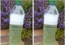 Sredstvo za ubijanje korova za par centi – očistilo je beton, terasu i cijelu baštu: ISPROBANO I NAJJAČE, NE MOGU GA ODLOŽITI!