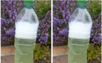 Sredstvo za ubijanje korova za par centi – očistilo je beton, terasu i cijelu baštu: ISPROBANO I NAJJAČE, NE MOGU GA ODLOŽITI!